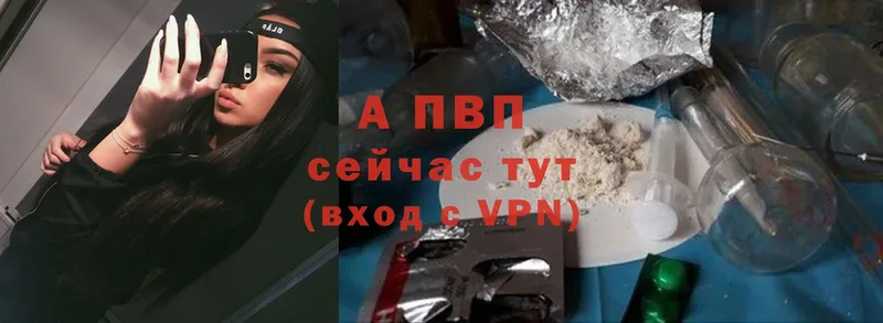 A PVP СК  Печоры 