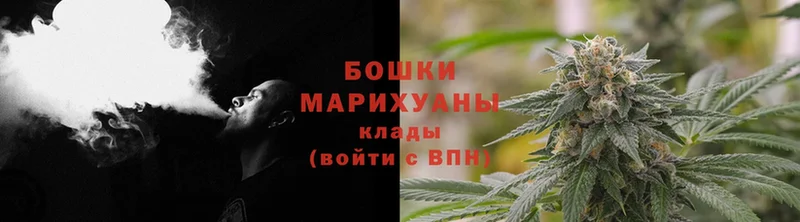 Шишки марихуана THC 21%  Печоры 